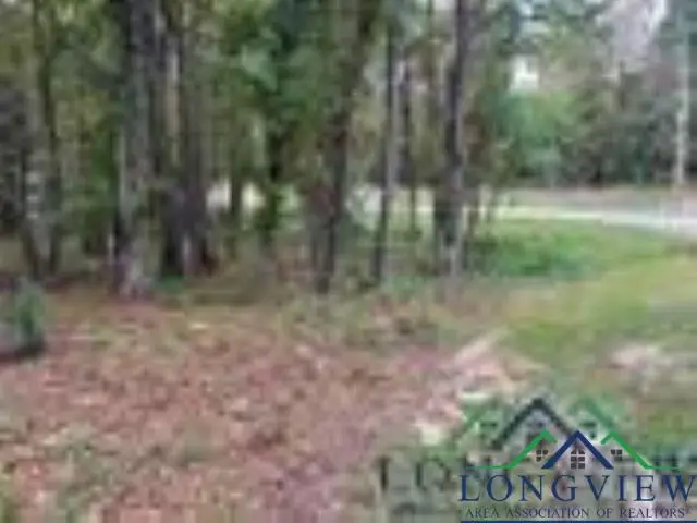 387 Hillshore Circle, Longview, TX 75605 - Image #3