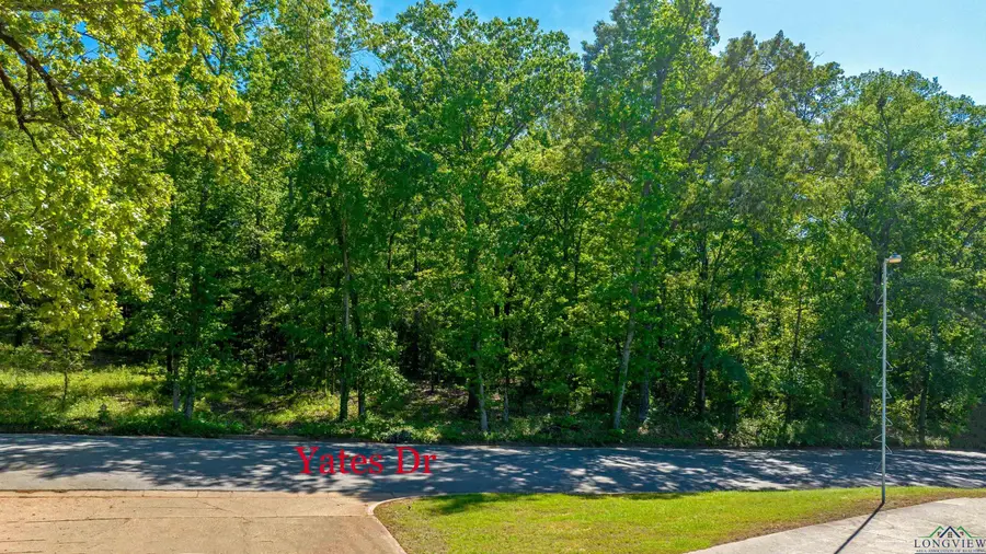 tbd Yates Dr, Longview, TX 75601 - Image #2