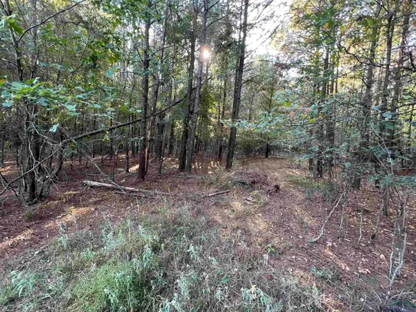 TBD Los Altos Rd, Waskom, TX 75692