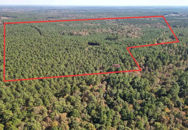 TBD Miller County 32, Doddridge, AR 71834