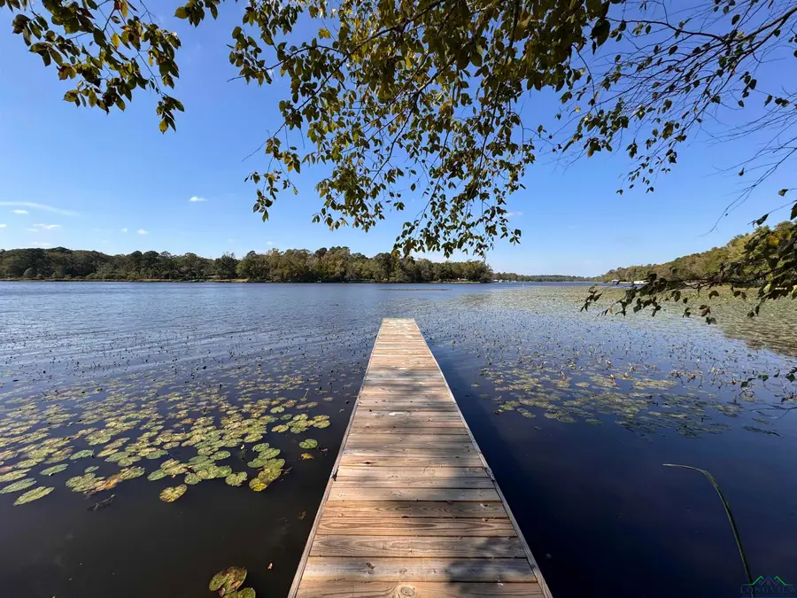 3088 E Lake Dr, Gladewater, TX 75645 - #3