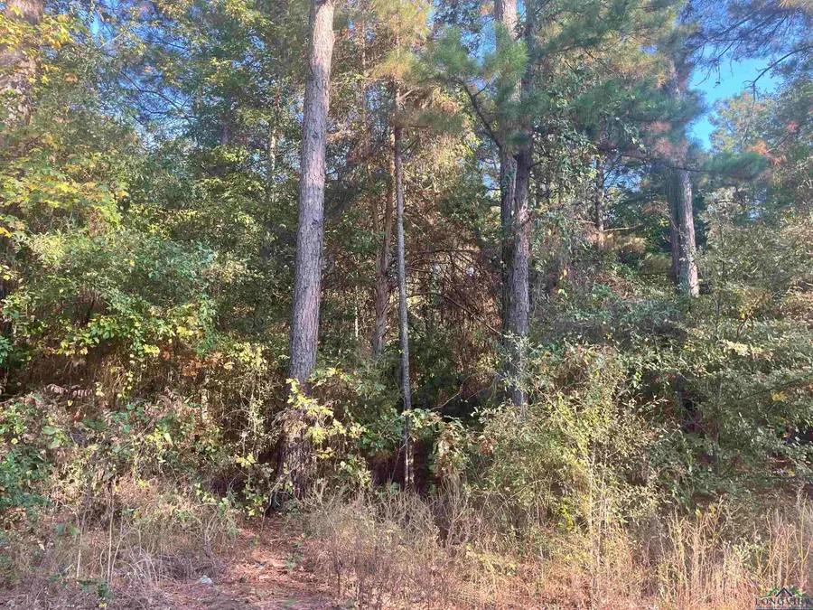 tbd Club Dr and Forestwood Dr., Gilmer, TX 75645 - Image #3