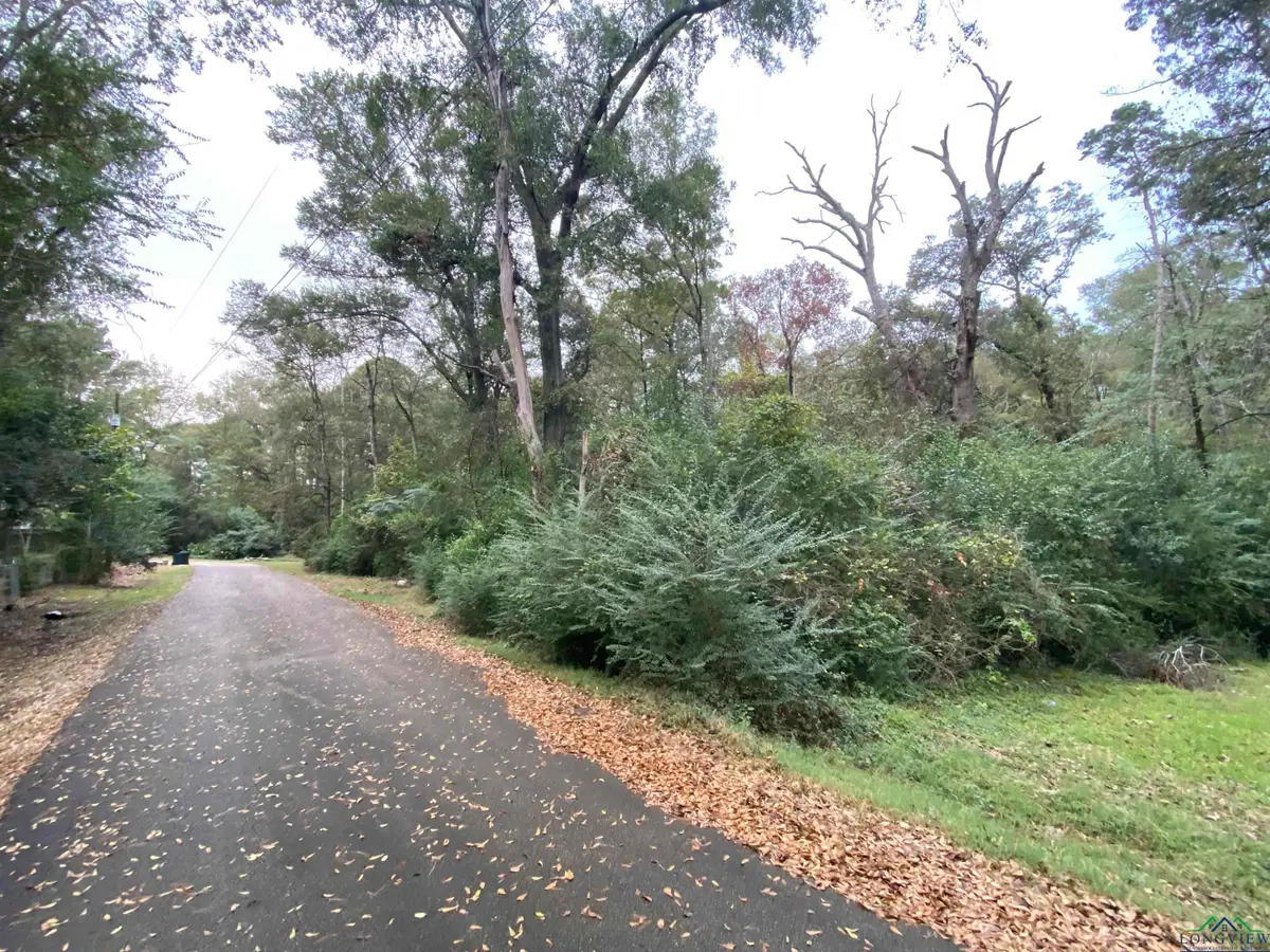 700 Hutchins, Center, TX 75935 - Image #1