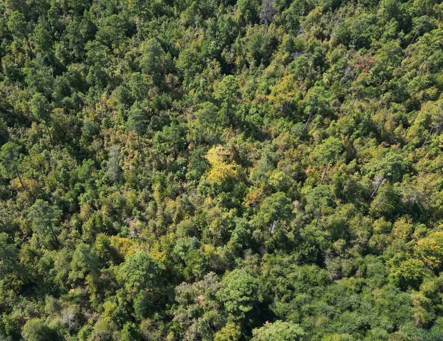 TBD TX HWY 43, Bivins, TX 75555 - Image #3