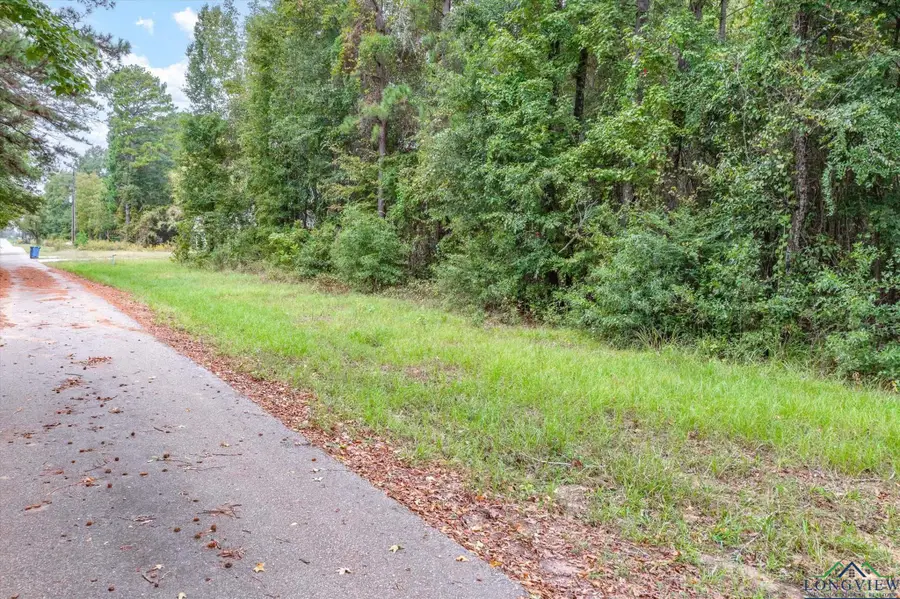 TBD (8.138 Acr) County Road 152 E, Tyler, TX 75703 - #3