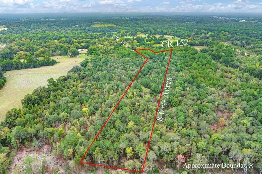 TBD (8.636 Acr) County Road 152 E, Tyler, TX 75703 - #2