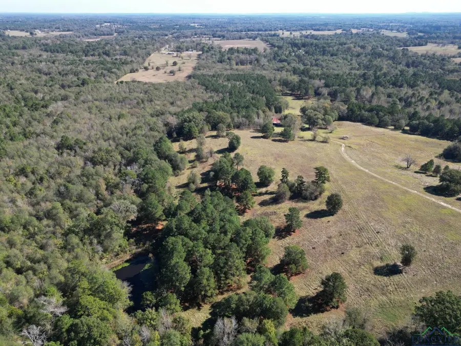 2065 CR 4580, Winnsboro, TX 75494 - #2