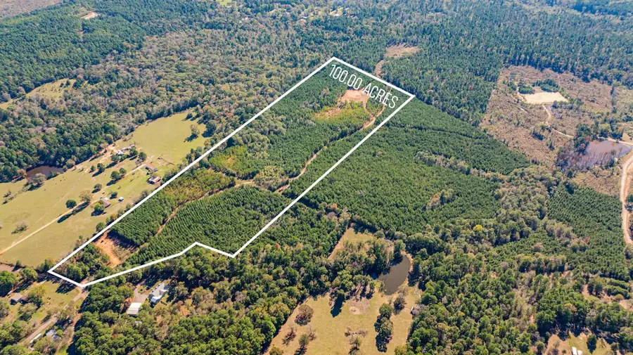 TBD Firetower Rd, Hallsville, TX 75650 - Image #3