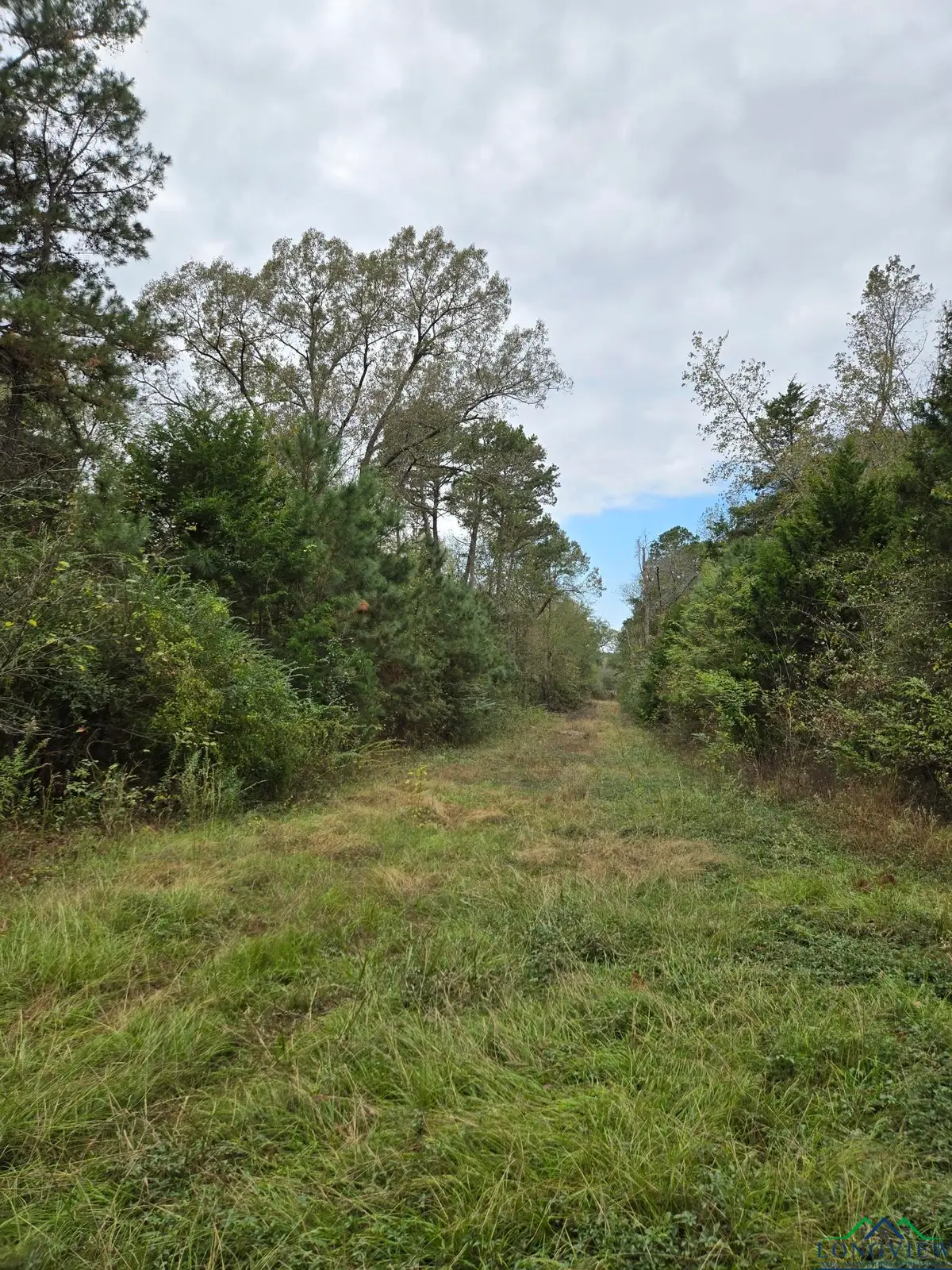 0000 CR 474, Rusk, TX 75652 - Image #1