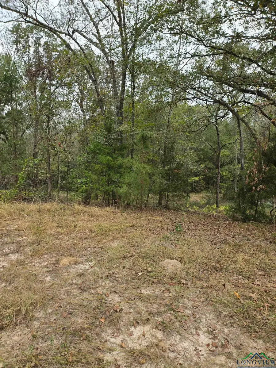 0000 CR 474, Rusk, TX 75652 - Image #3