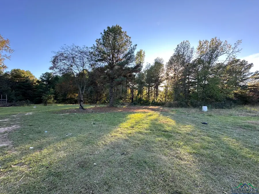 1764 LAVENDER RD, Gilmer, TX 75644 - Image #3