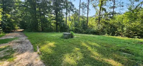 5680 S State Highway 43, Jefferson, TX 75657