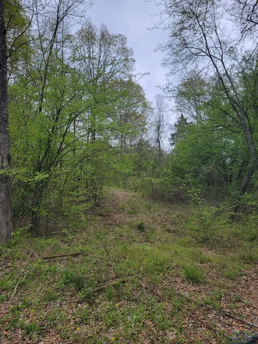 TBD Woodchuck Rd - 18.5 Acres, Leesburg, TX 75451 - Image #3