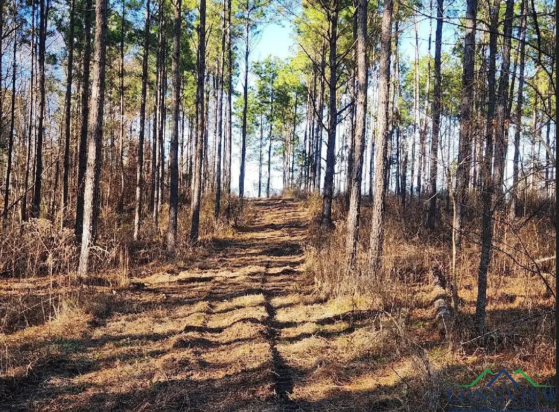 TBD S CR 451 D, Laneville, TX 75667 - Image #1