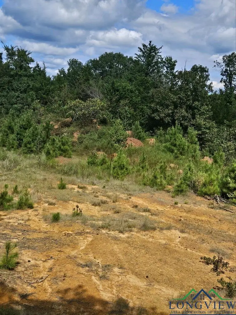 TBD Orange Rd, Big Sandy, TX 75755-0000 - Image #2