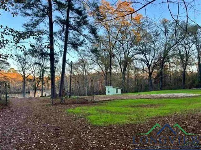 655 Lake Cooper Rd, Karnack, TX 75661 - Image #1