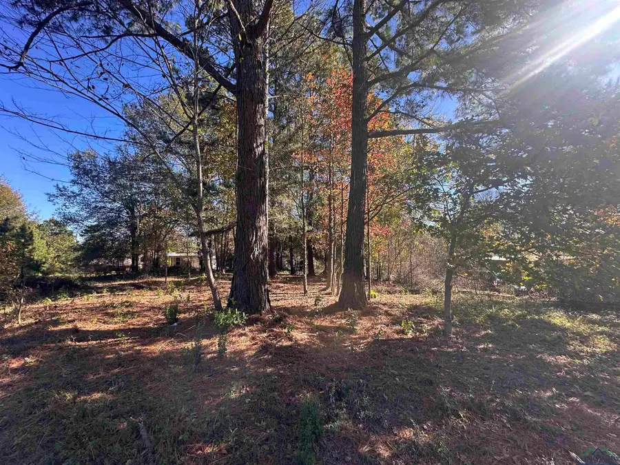 706 High Street, Marshall, TX 75670 - Image #3