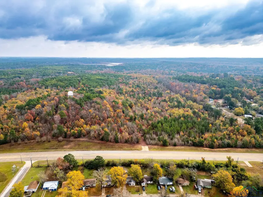 TBD N HWY 259, Lone Star, TX 75668 - Image #3