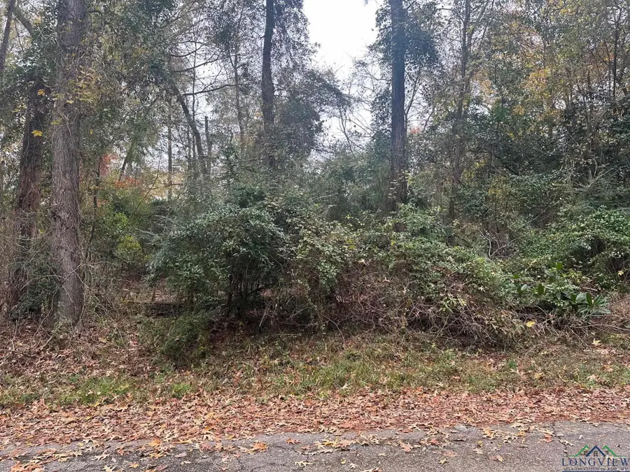 TBD MOCKINGBIRD, Kilgore, TX 75662 - Image #2