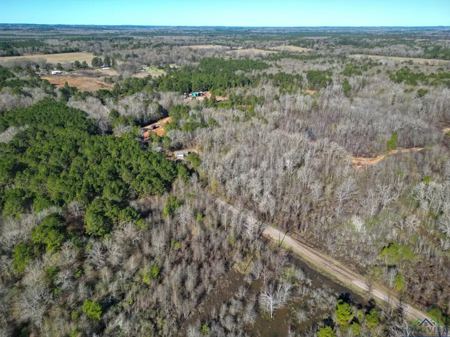 12966 W CR 477, Henderson, TX 75654 - Image #3