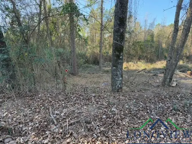 000 CR 4172 D, Laneville, TX 75667 - Image #2