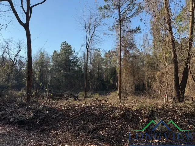 000 CR 4172 D, Laneville, TX 75667 - Image #3