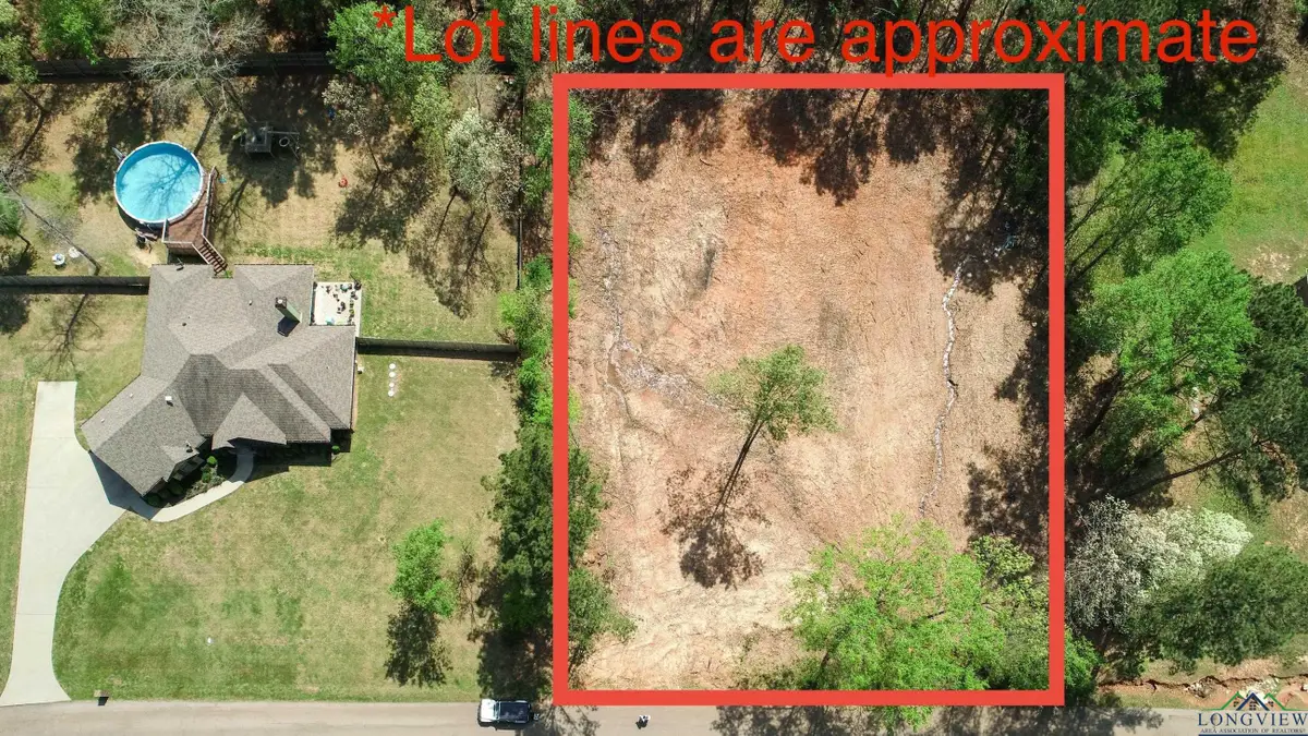 LOT 66 TBD BRALAN DR, Diana, TX 75640 - Image #1