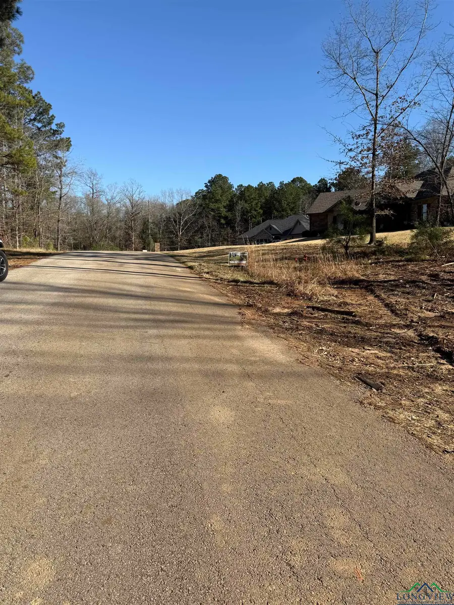 LOT 66 TBD BRALAN DR, Diana, TX 75640 - Image #2