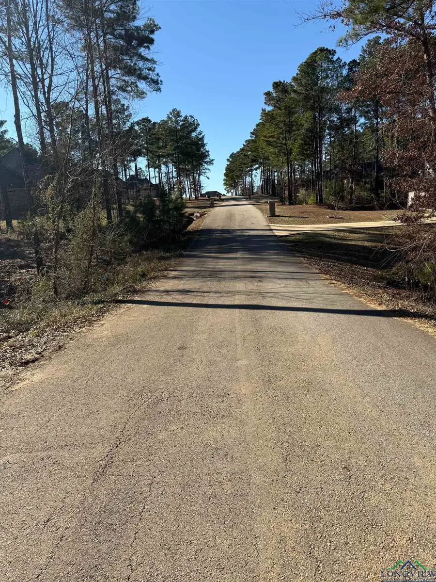 LOT 66 TBD BRALAN DR, Diana, TX 75640 - Image #3