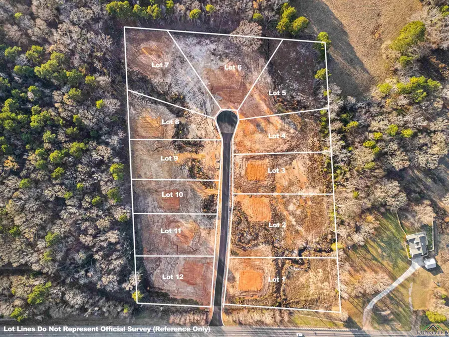 TBD Parra Dr., Diana, TX 75640 - Image #2