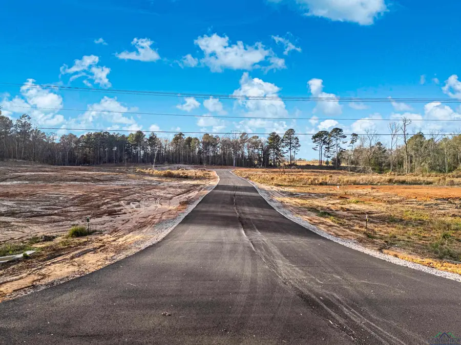 TBD Parra Dr., Diana, TX 75640 - Image #3