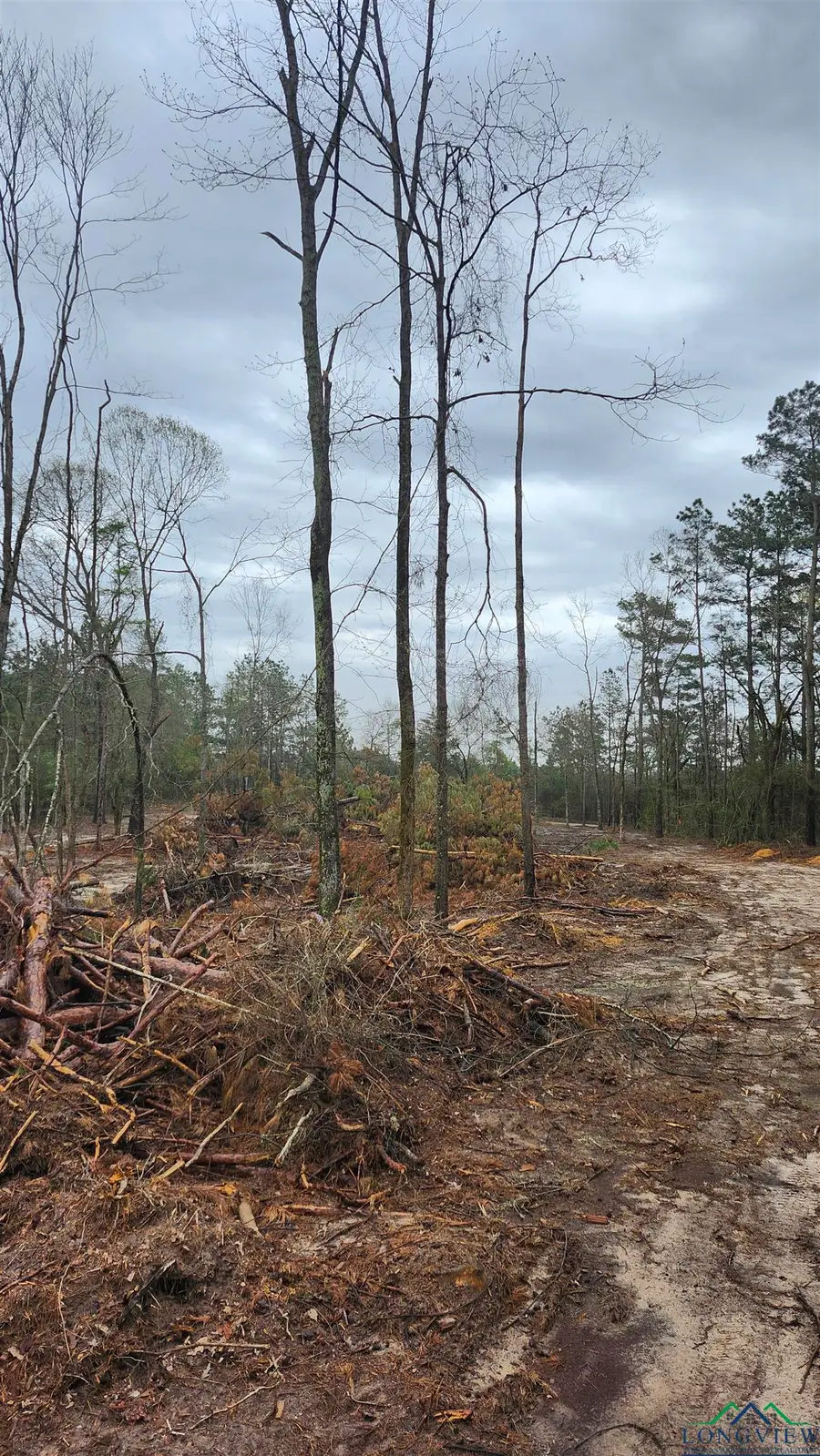 TBD County Rd 182, Timpson, TX 75975 - Image #2