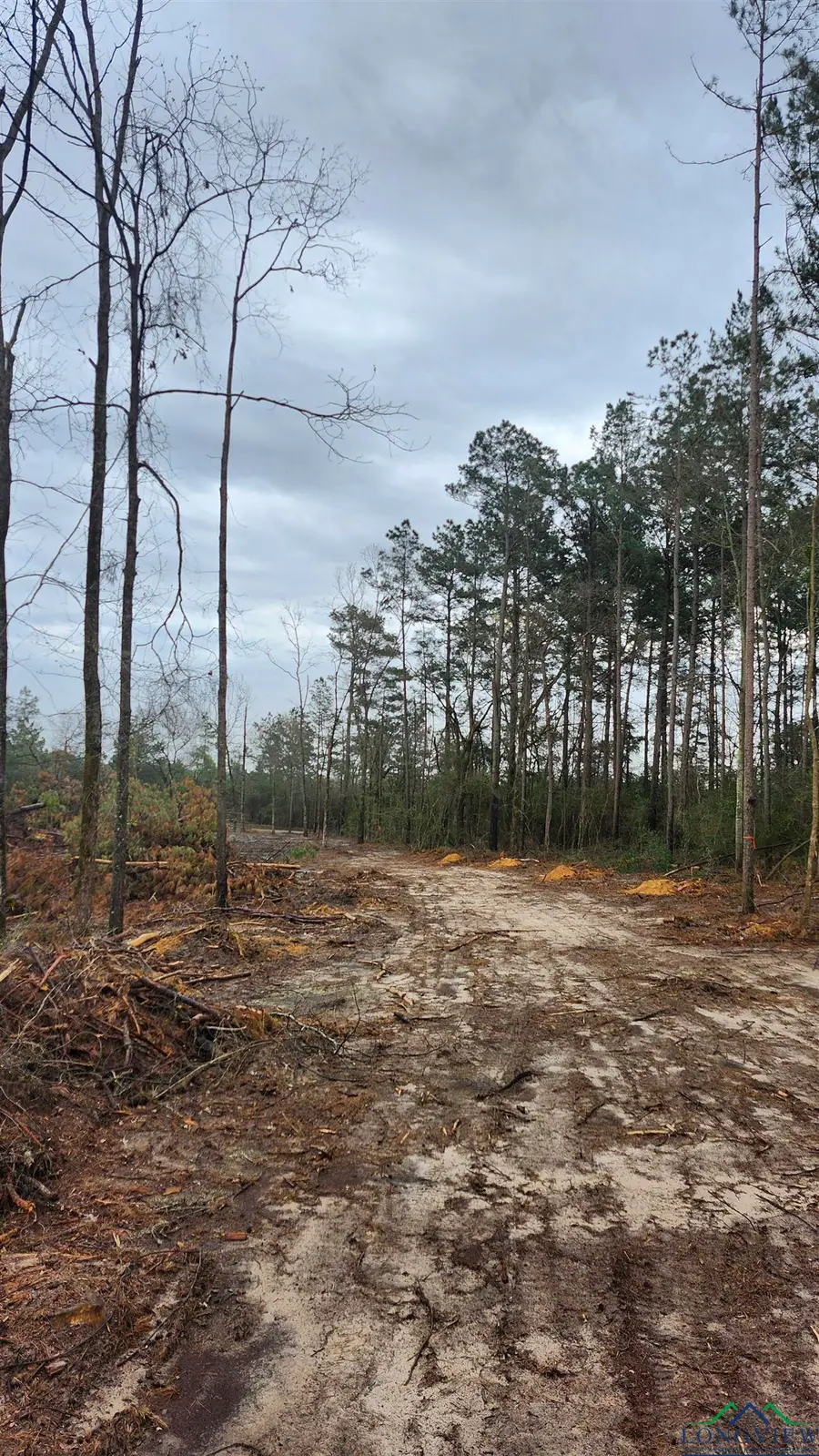 TBD County Rd 182, Timpson, TX 75975 - Image #3