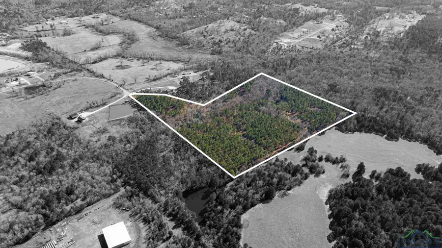 000 Eagle Court Rd, Diana, TX 75640 - Image #3