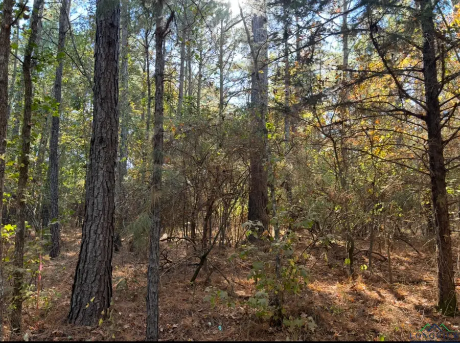 TBD CR 4122 And Texas Hwy 43, Bivins, TX 75555 - Image #2