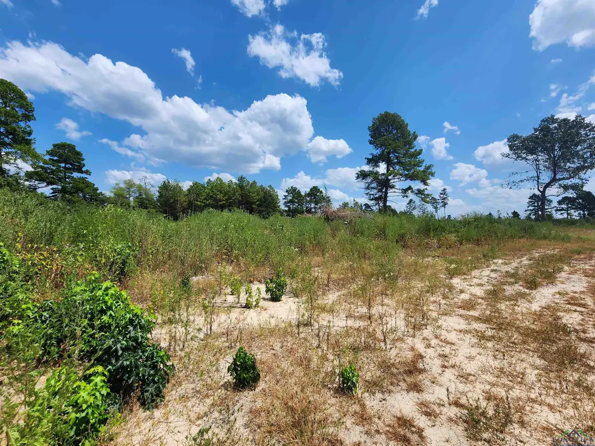 TRACT 1 TBD County Road 1762, Jefferson, TX 75563 - Image #1