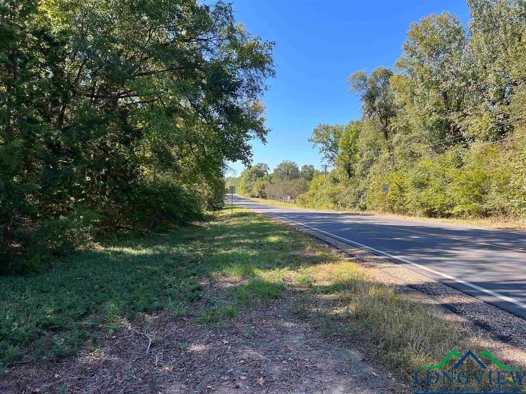 TBD FM 134, Karnack, TX 75661 - Image #1
