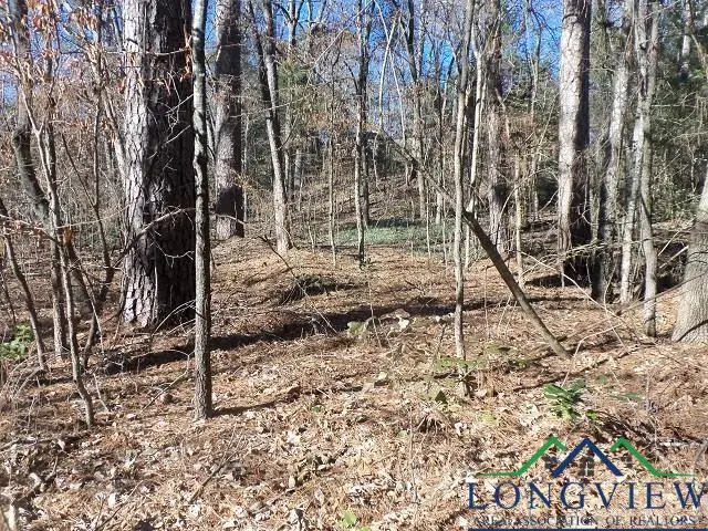 TBD LOCKHAVEN DRIVE, Kilgore, TX 75662 - Image #3