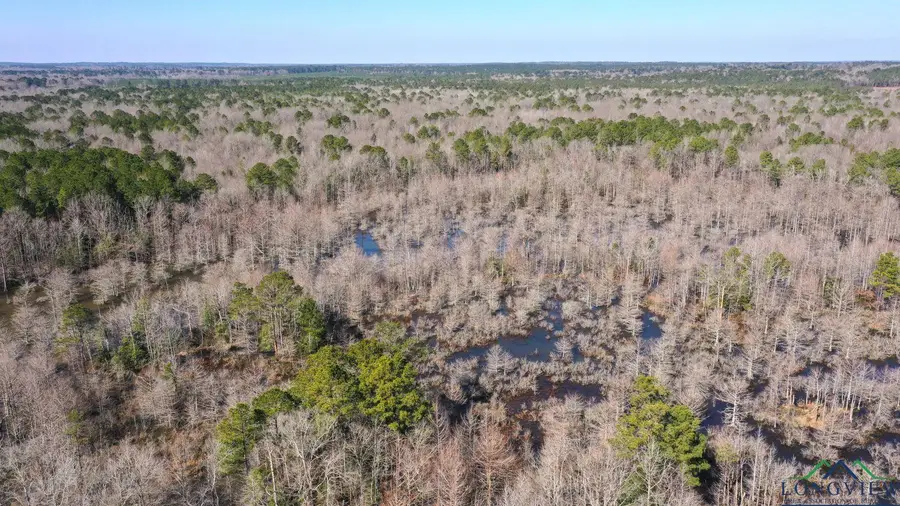 0000 Private Road Easement off TX Hwy 43, Bivins, TX 75555 - Image #2