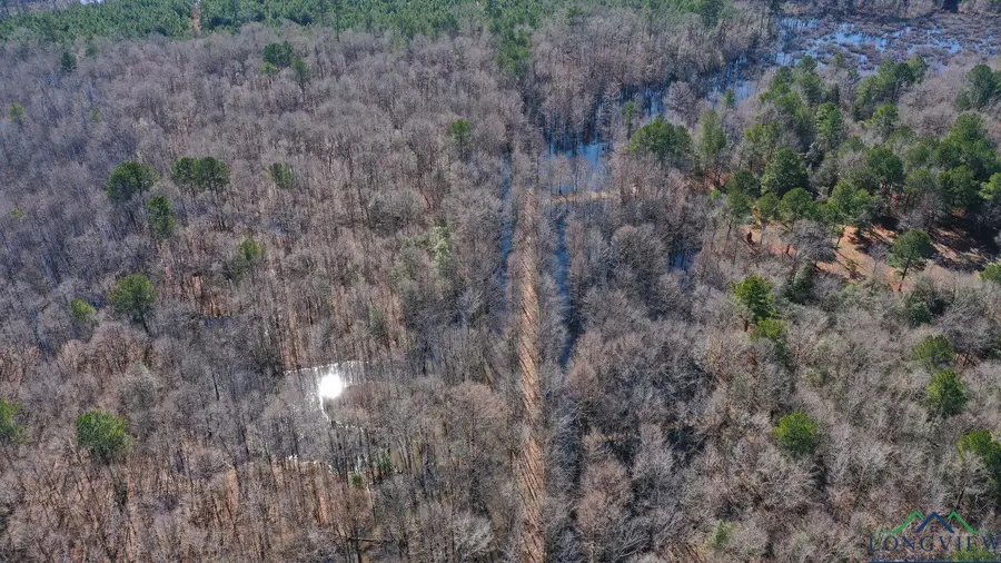 0000 Private Road Easement off TX Hwy 43, Bivins, TX 75555 - Image #3