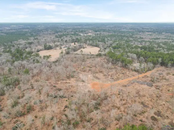 TBD PRIVATE ROAD 1109, New Diana, TX 75640