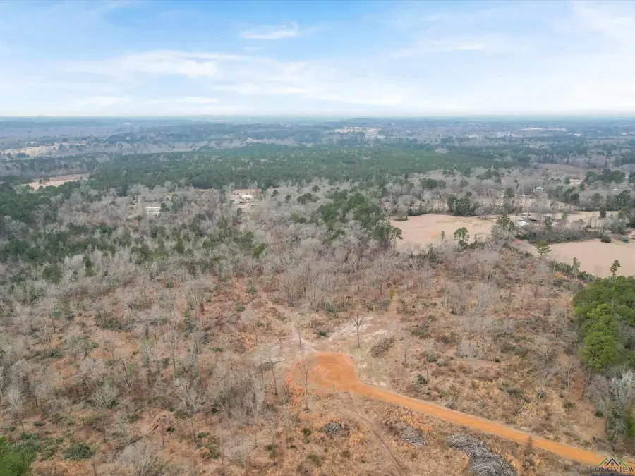 TBD PRIVATE ROAD 1109, Diana, TX 75640 - Image #3