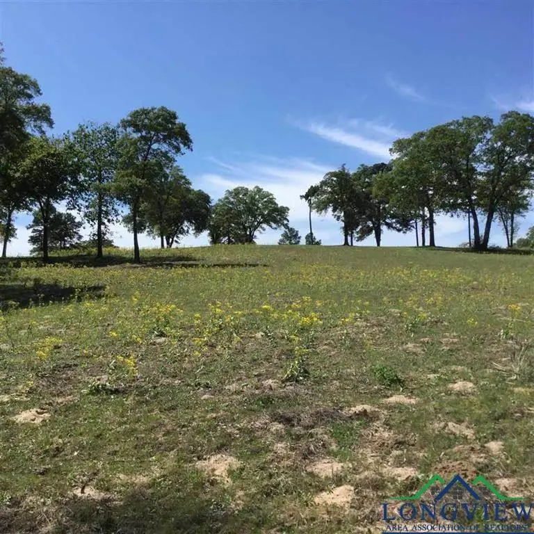 TBD Oscar Ragon Rd, Harleton, TX 75651 - Image #3