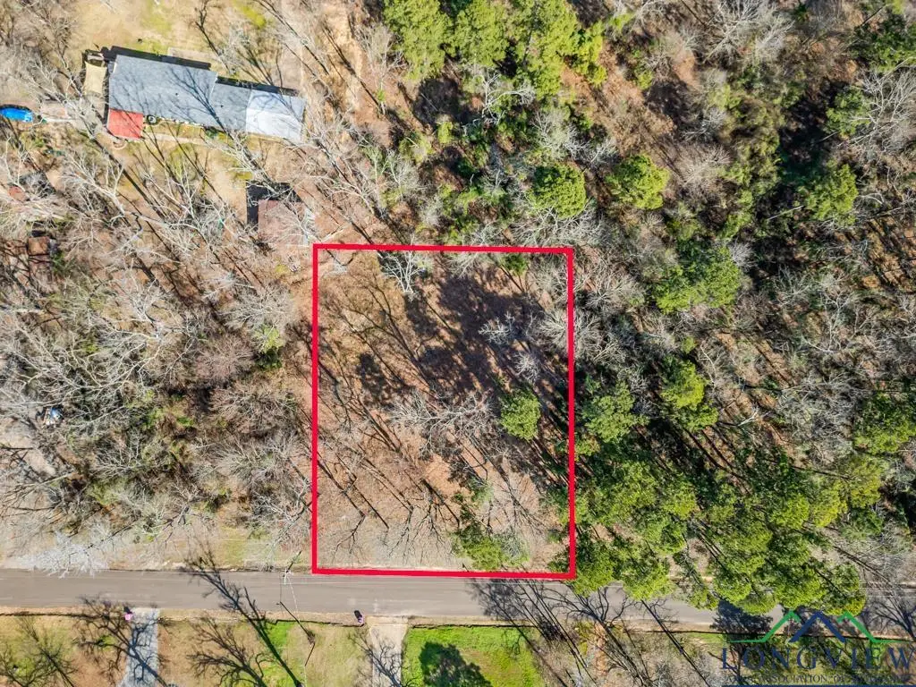 TBD Parkwood Dr, Gilmer, TX 75644 - Image #1