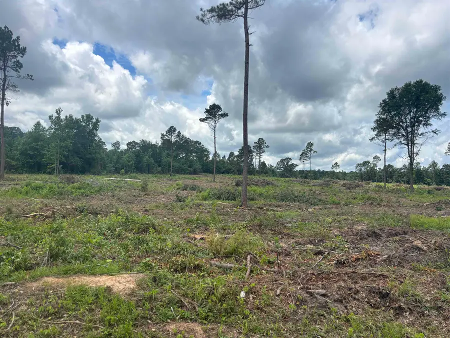 TBD CR 3665, Queen City, TX 75572 - Image #2