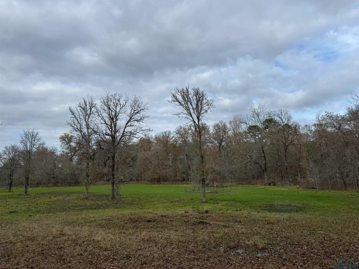 TBD Private Rd 1331, Elysian Fields, TX 75642 - Image #1