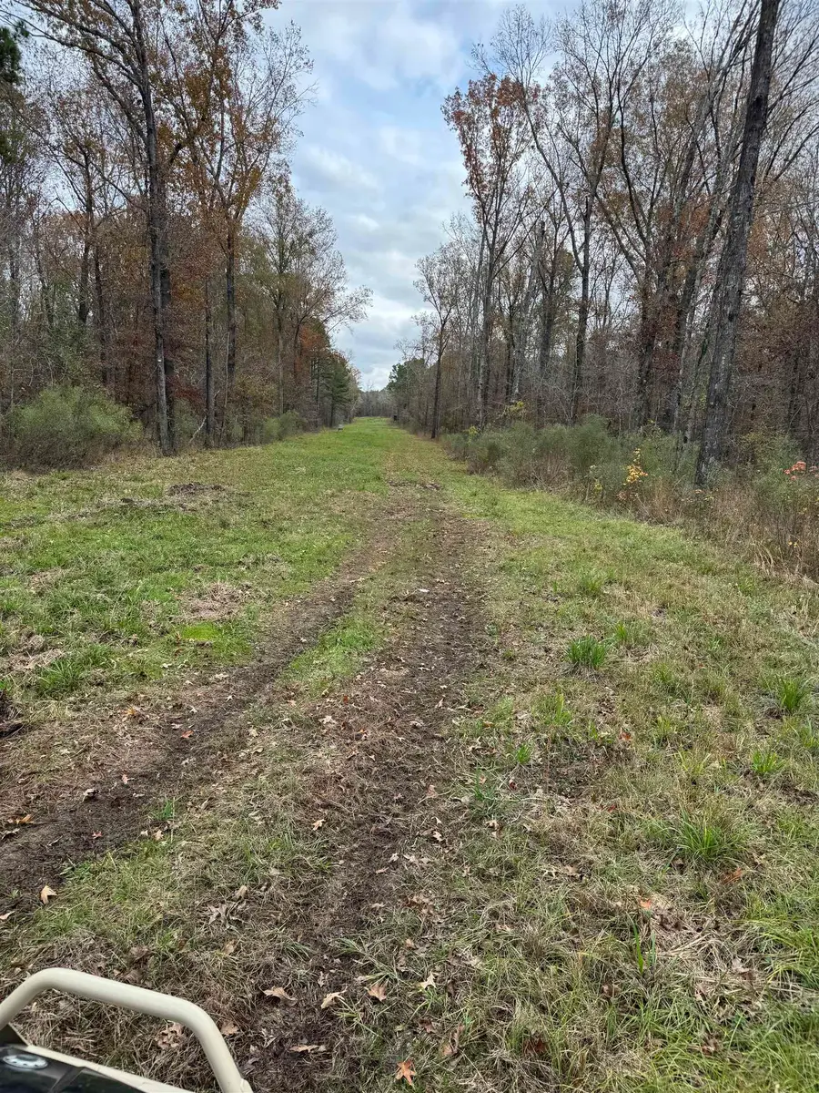 TBD Private Rd 1331, Elysian Fields, TX 75642 - Image #2