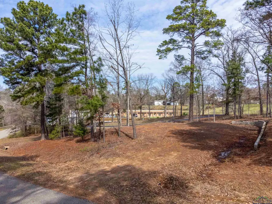 150 Lake Estates Trail, Longview, TX 75605 - Image #3