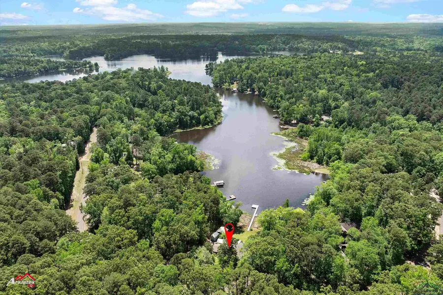 1069 CR  1596, Avinger, TX 75630 - Image #3