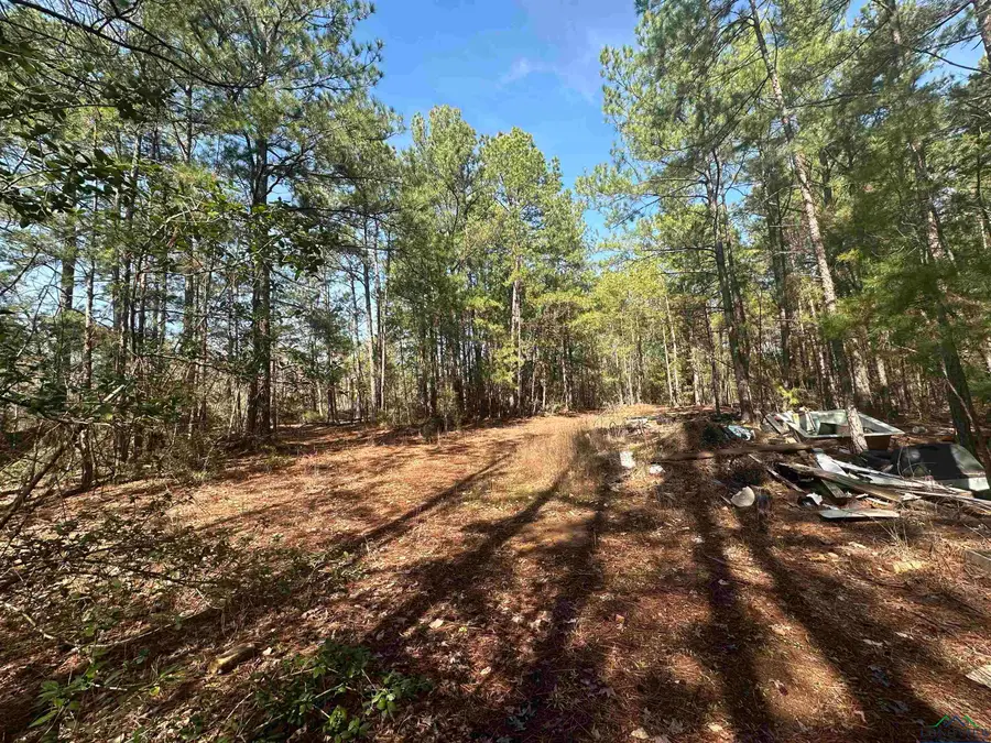 Tbd N Marshall St, Henderson, TX 75652 - Image #3